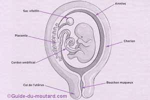 Petit rappel sur l'aménagement de la maison des bébés